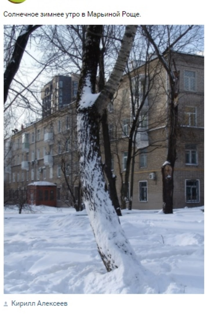 Фото дня: солнечное утро в Марьиной роще